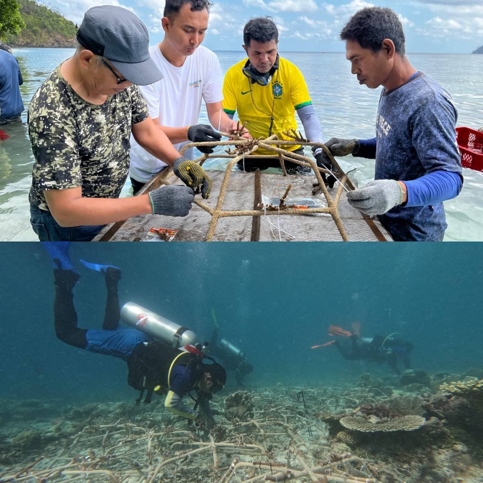 PT KSM, BPK Kupang dan Masyarakat Adat Rehabilitasi Ekosistem Pesisir Pulau Kawei